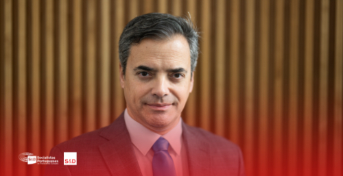 O triunfo dos brutos 